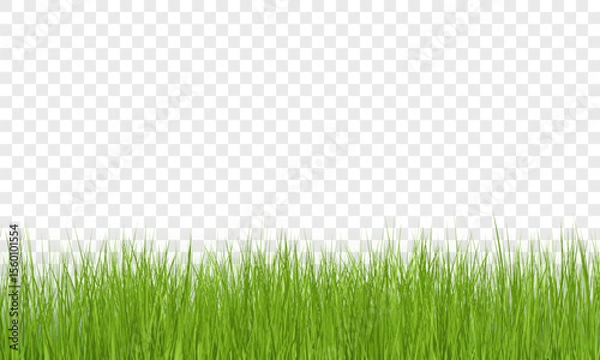 Fototapeta Green Grass Border on Transparent Background. Vector Illustration