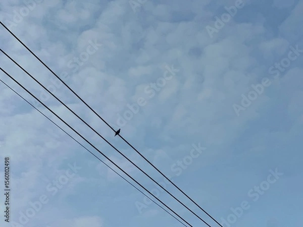 Obraz high voltage power line