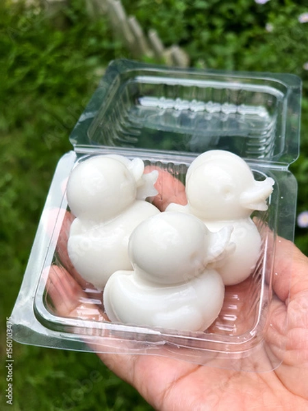 Obraz duck jelly in plastic box