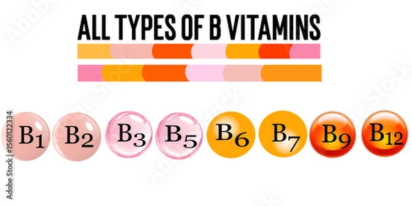 Obraz Colorful 3D illustrations of B vitamins B1 through B12, representing the full B vitamin group