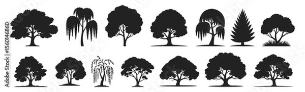 Fototapeta Tree silhouette collection with broadleaf, willow varieties vector illustration. Includes diverse foliage forms with natural, stylized canopies and trunks.