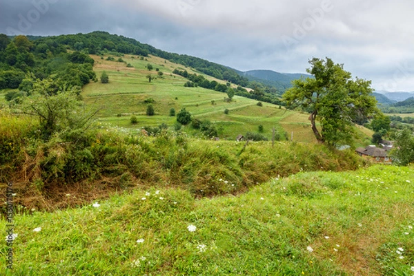 Obraz rural landscape with field on a hill in summer. stormy weather and overcast sky. beautiful view of agriculture land. outdoor adventure in rustic farmland