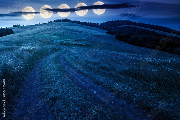 Obraz travel mountain landscape with path through meadow in summer at night. nature background with cloudy sky. trail winding among grass in the direction forest. countryside in full moon light. fake news