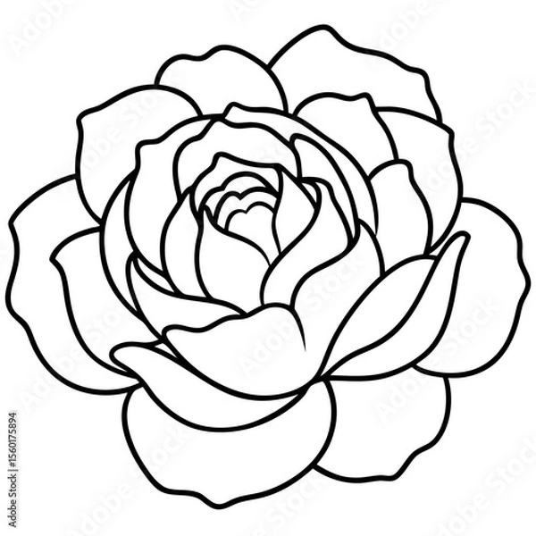Fototapeta Peony Bloom Minimal Line Art on White
