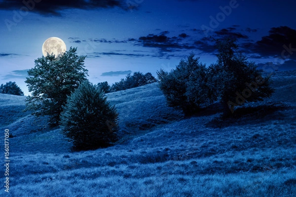 Obraz beech forest on the grassy hill at night. alpine scenery with trees in lush leaves. primeval woods in full moon light. dark clouds on the sky