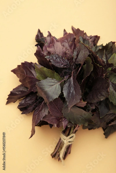 Obraz Purple basil on beige background. Vertical photo