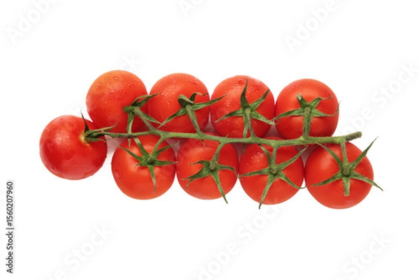 Obraz Cherry tomato branch isolated on white background.
