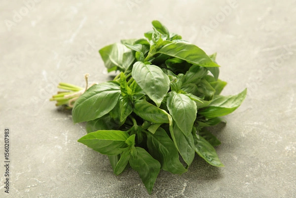 Obraz Branch fresh basil on grey concrete background.