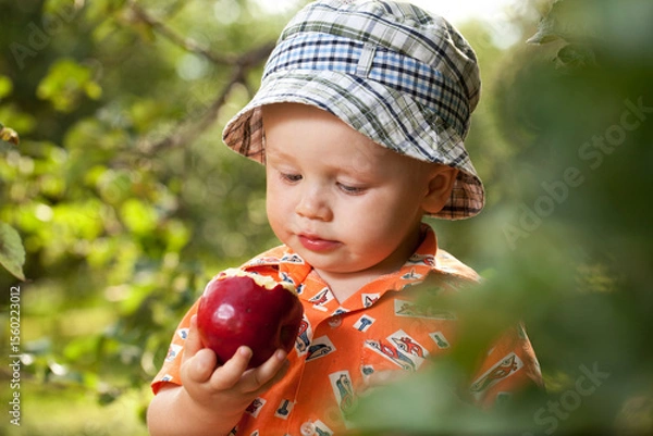 Fototapeta Boy in panama with red ripe apple.