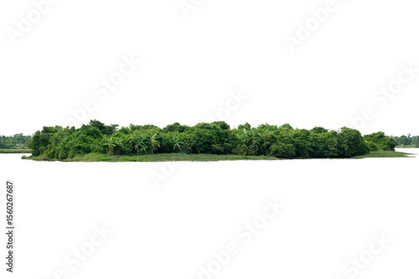 Obraz Isolated Tropical Island with Dense Green Forest  Transparent PNG for Landscape and Nature Design