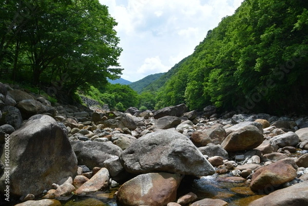Obraz 백무동 계곡