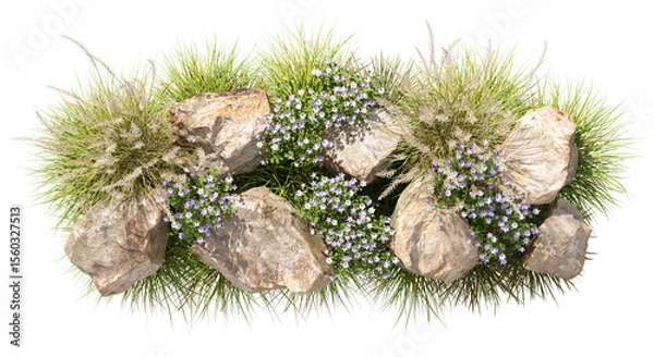 Obraz Isolate wildflower fields grass dense rocks landscaped on transparent backgrounds 3d rendering png