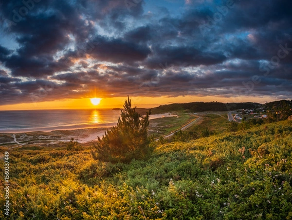 Fototapeta Sunset over Atlantic coast of Galicia Spain golden light reflecting on calm sea dark clouds above vibrant sky dunes pine trees wild shoreline peaceful scene warmth freedom serenity