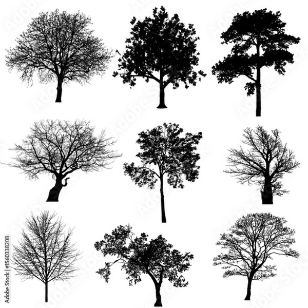 Fototapeta Collection of Silhouetted Deciduous and Evergreen Trees in Winter and Spring.