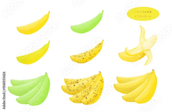 Obraz 水彩風バナナのイラストセット