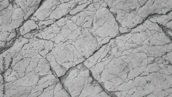 Fototapeta A rough, dry, cracked bark pattern on an old tree, resembling textured ground in a drought-stricken desert