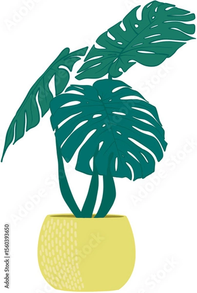 Fototapeta 몬스테라