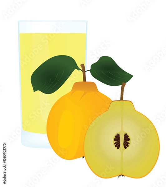 Fototapeta Quince juice with whole quince and a half , vector	