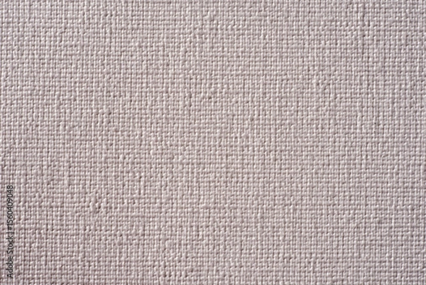 Obraz Rough White Wall Texture – Authentic Urban Surface for Design