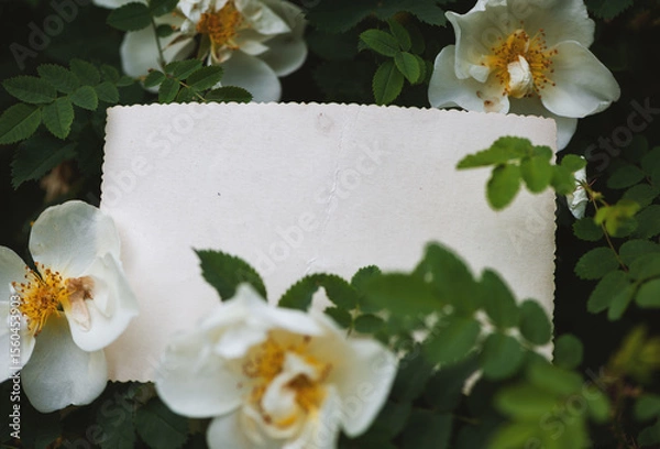 Obraz Vintage empty paper lies on green leaves of a plant with flowers, creating a rustic and natural background. The weathered sheet blends with botanical foliage