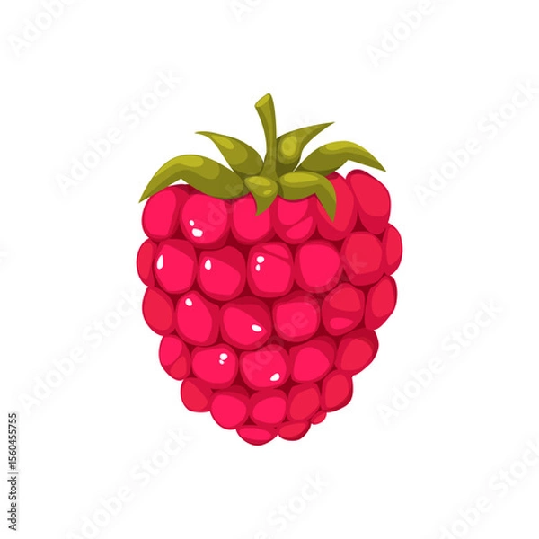 Fototapeta Raspberry berry. Ripe summer berry with green leaves on a white background.