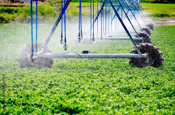 Obraz Irrigation Sprinkler System for Agricultural Farm Farming Crops Field