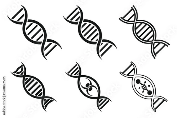 Fototapeta set of vector leaves