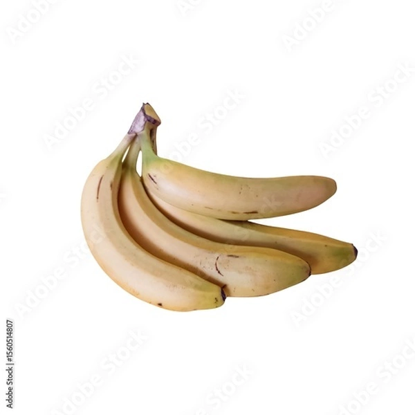 Obraz bunch of bananas. yellow bananas on white background . 4 bananas