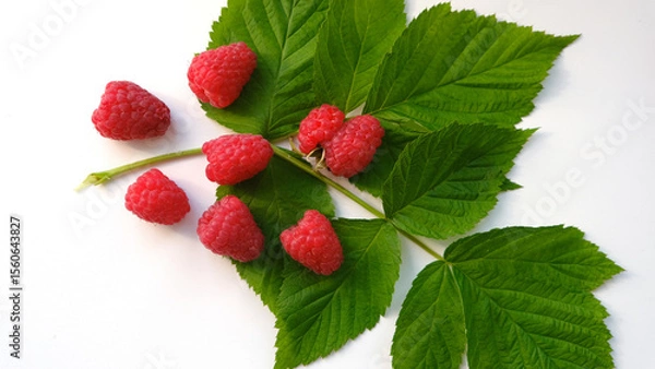 Obraz raspberries with leaves