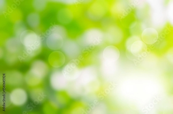 Fototapeta Green bokeh abstract background blur