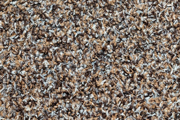 Obraz Close up indoor outdoor carpet texture background