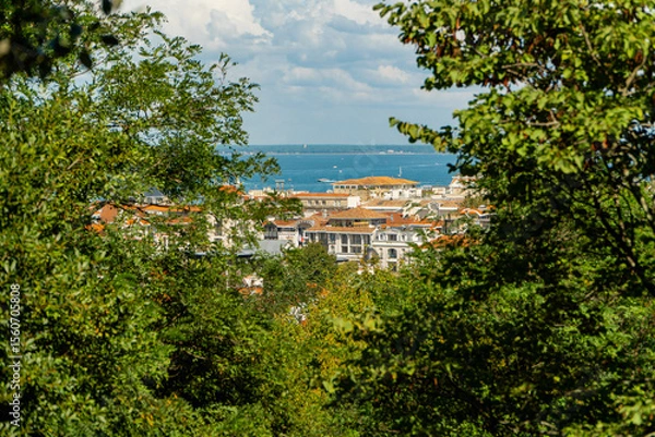 Fototapeta View of Arcachon bay and town framed by green trees on a sunny day