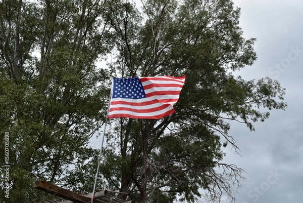 Obraz american flag in the wind