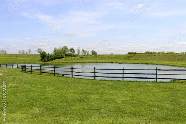 Fototapeta The peaceful pond in the country on a sunny day.