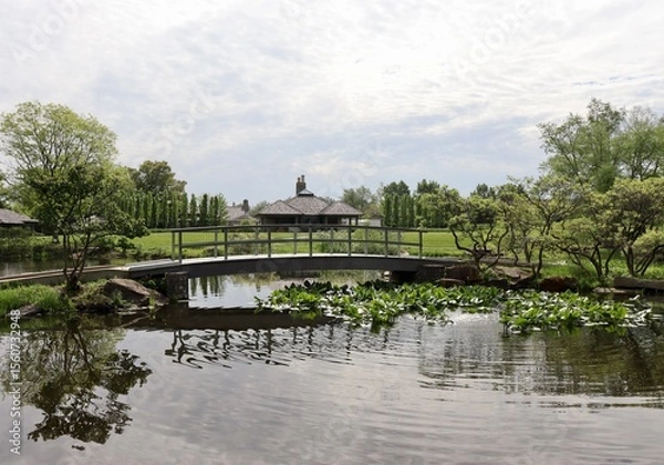 Fototapeta The bridge in the park on a sunny day.