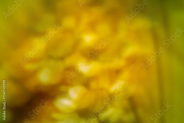 Fototapeta A colorful abstract background with soft, blurred colors