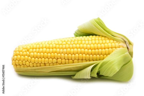 Obraz fresh corn on white background