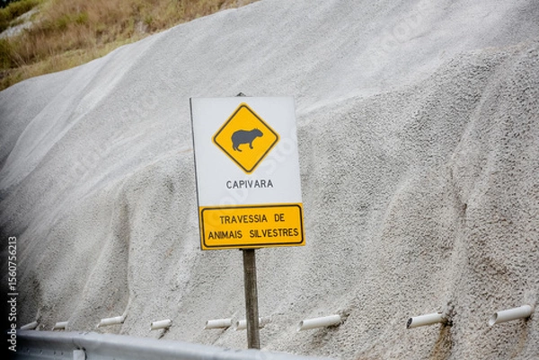 Fototapeta Sinalização de alerta indicando travessia de animais silvestres, com destaque para capivaras. Imagem útil para temas de preservação ambiental, segurança viária e fauna brasileira.
