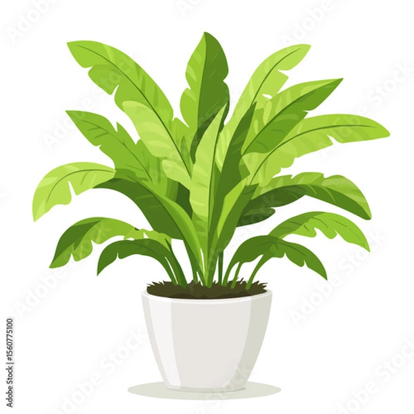 Fototapeta Flat 2D Birds Nest Fern illustration, vector graphic in icon style, on white background