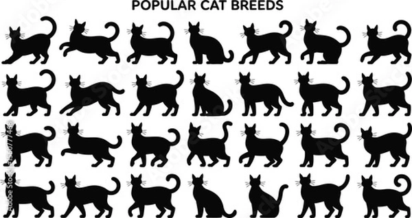 Fototapeta Set of Vector Animal Silhouettes Collection in Black Outline Style