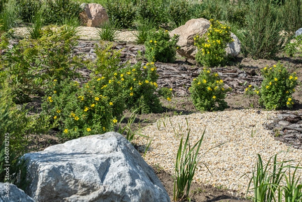 Obraz Beautiful landscaped garden with yellow flowers and stones in summer.
