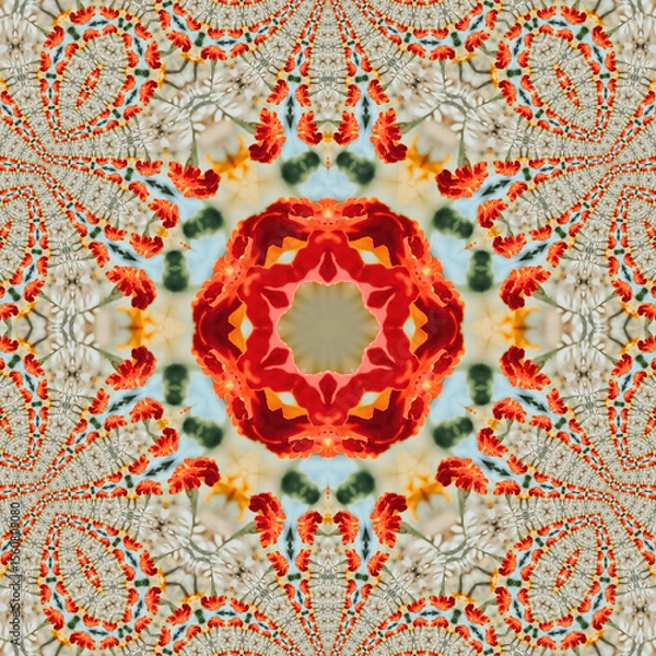 Obraz A kaleidoscope of red and white flowers