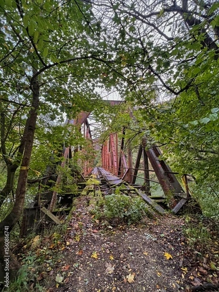 Obraz Rusty Abandoned Railway Bridge in Forest