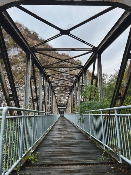 Obraz Metal Pedestrian Bridge Through Canyon in Autumn