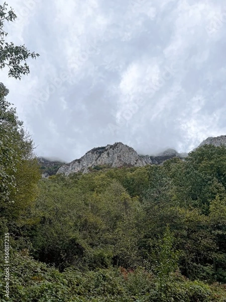 Obraz  Foggy Mountains and Forested Hills with Dramatic Sky