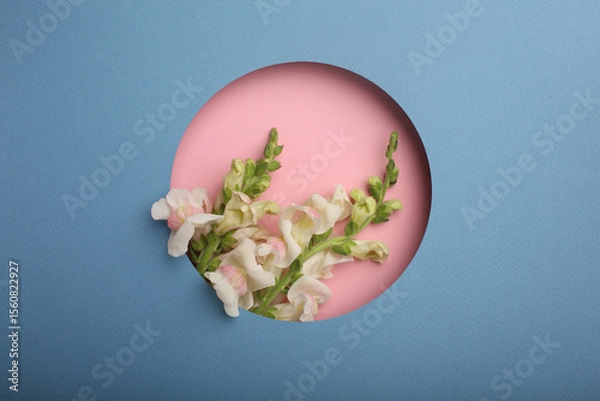Fototapeta A bouquet of beautiful flowers looks out through a round window cut out in coloured cardboard
