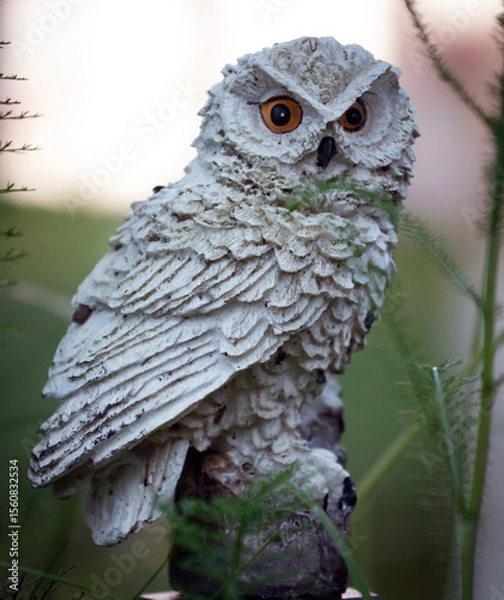 Obraz great grey owl