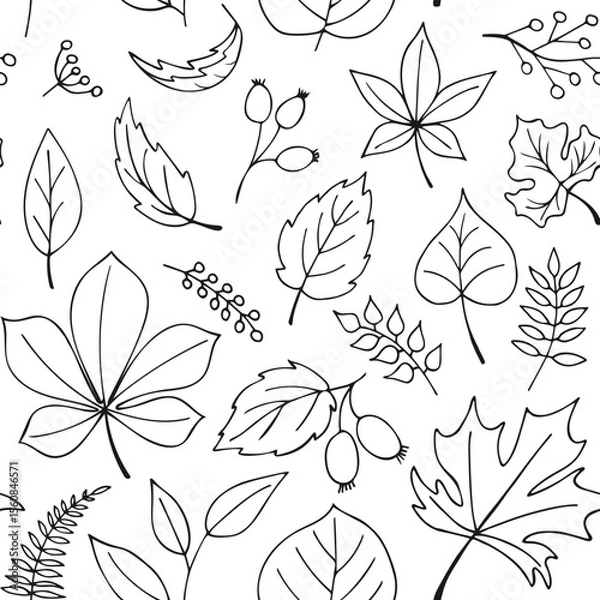 Fototapeta Seamless vector pattern of autumn leaves and berries in black outline style. Doodle botanical elements, clean line art, white background. Ideal for coloring book, textile print, packaging, stationery