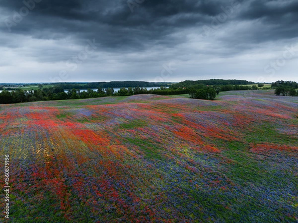 Obraz Vast Wildflower Meadow Under Dark Cloudy Sky