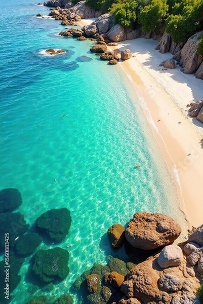 Obraz Sun-Drenched Shallow Waters Vibrant Coral Reef and Marine Life in Gentle Waves on a Sandy Shore, Ideal for Travel and Nature Photography
